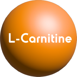 Help Website Design Products Inernational Market_Pharmaceuticals 8